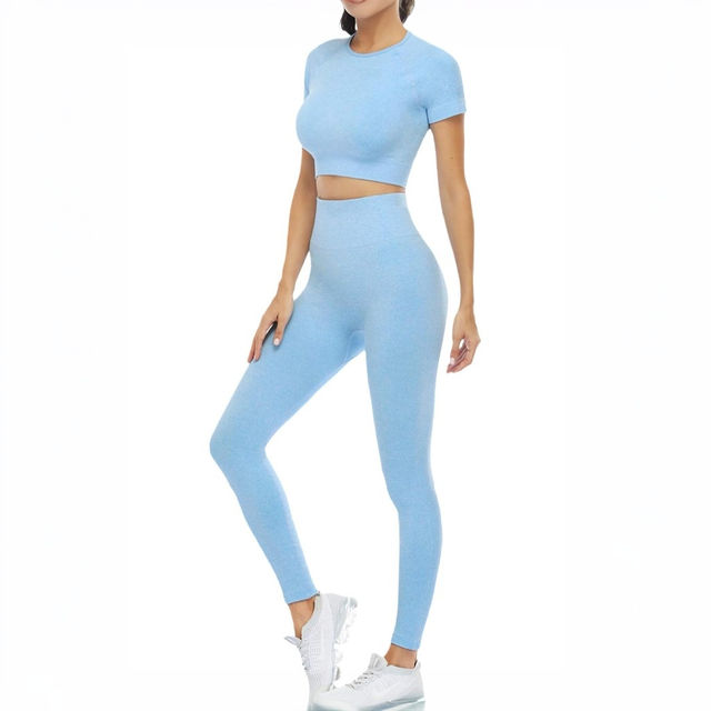 2 Piece Short Sleeve Outfits for Women Seamless Crop Tops Set for Women Workout Set